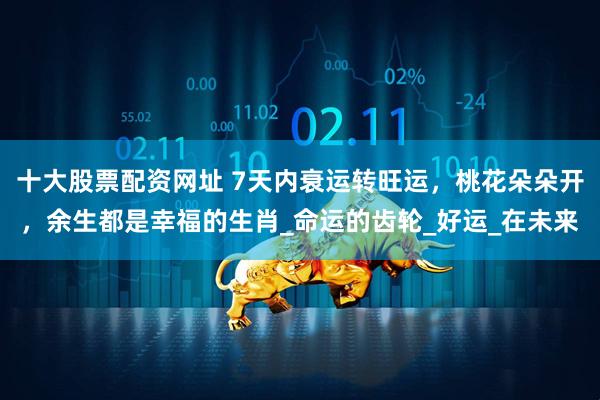 十大股票配资网址 7天内衰运转旺运，桃花朵朵开，余生都是幸福的生肖_命运的齿轮_好运_在未来